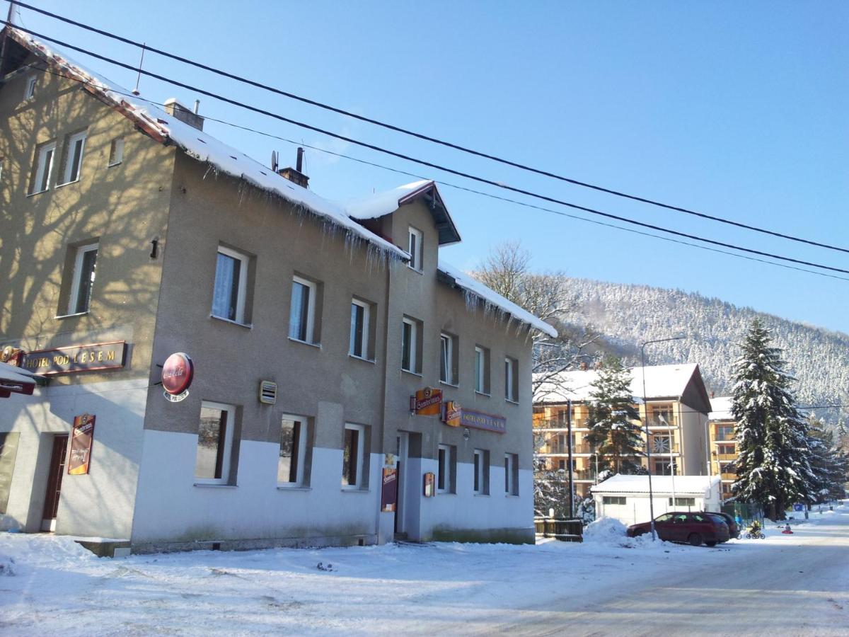 Hotel Pod lesem